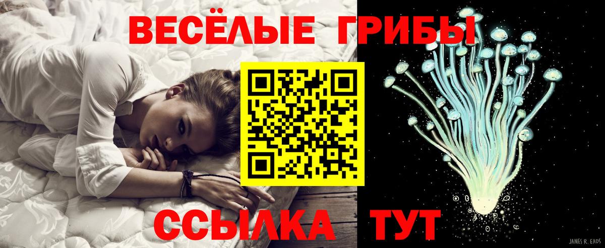 Галлюциногенные грибы Psilocybine cubensis  наркота  Качканар  Вход с VPN 